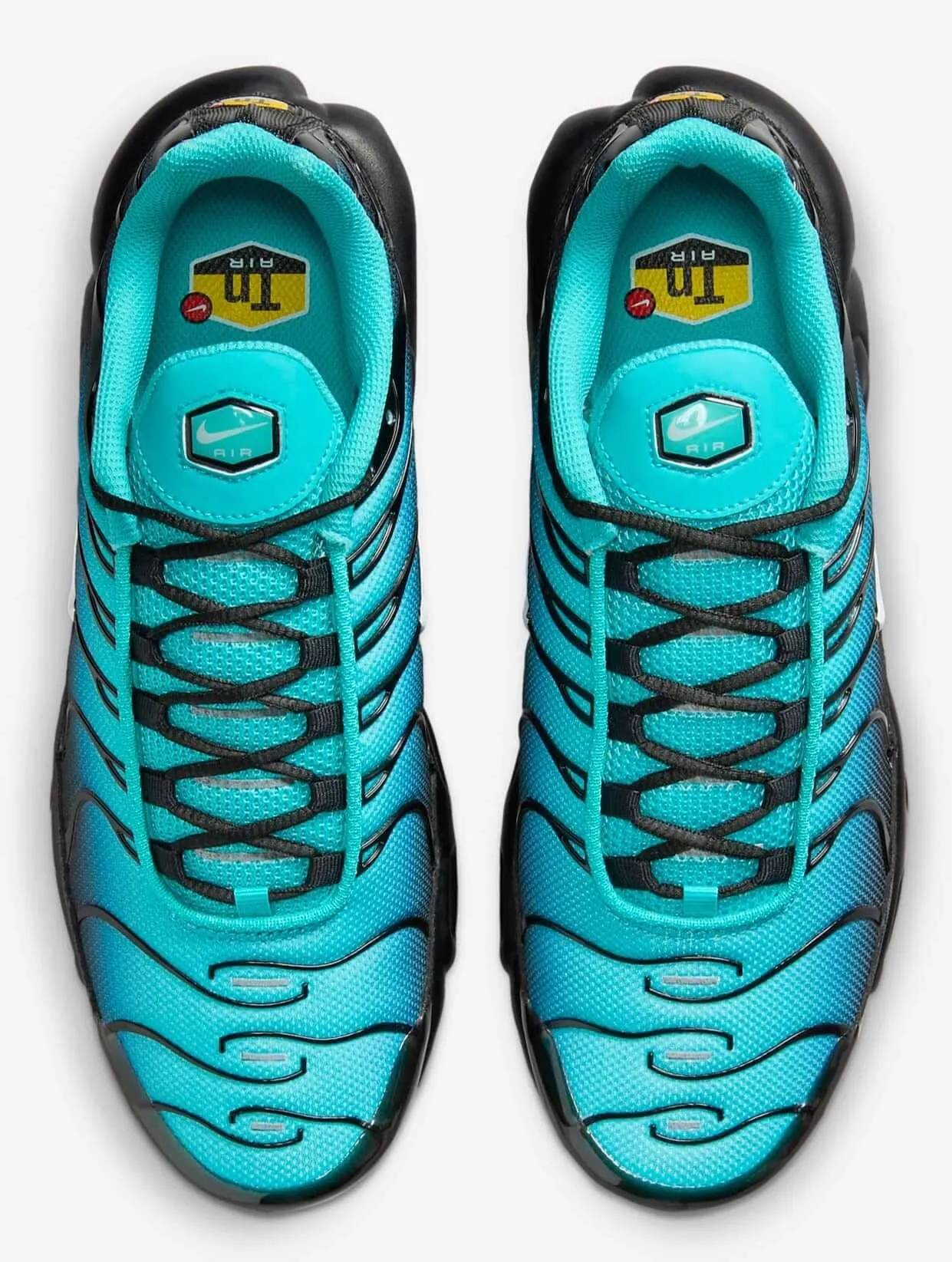 Nike Air Max Plus TN 'Caribbean Sea' (Black Aqua Fade Gradient)
